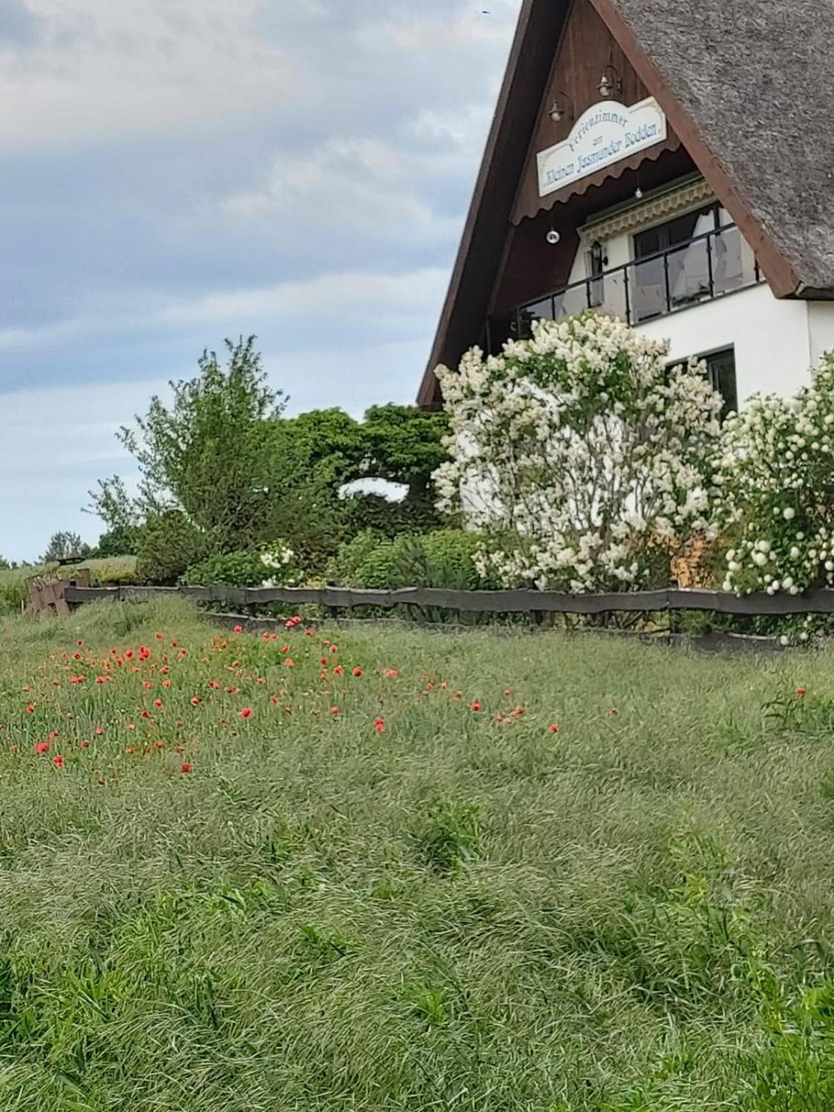 Pension Petersen Bergen Auf Rugen Rum bild